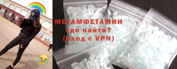 индика Бородино
