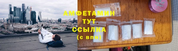 индика Бородино