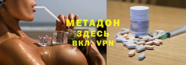 индика Бородино