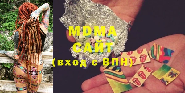 индика Бородино