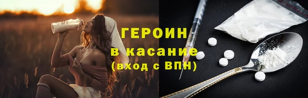 индика Бородино