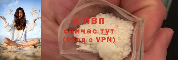 индика Бородино