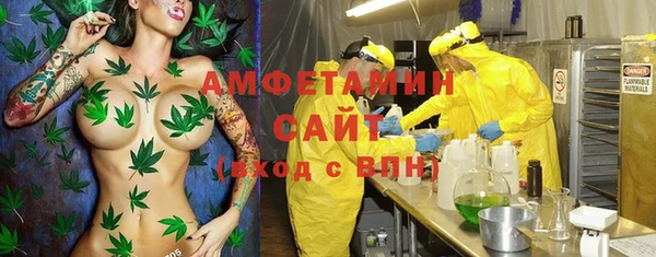 индика Бородино