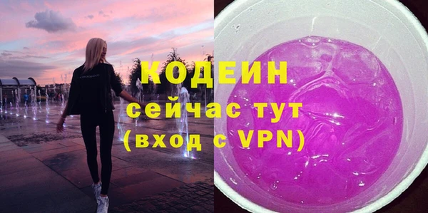 индика Бородино