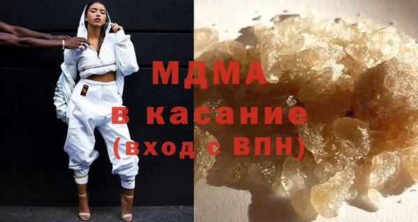 индика Бородино
