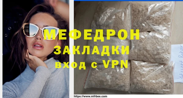 индика Бородино