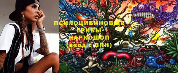 индика Бородино
