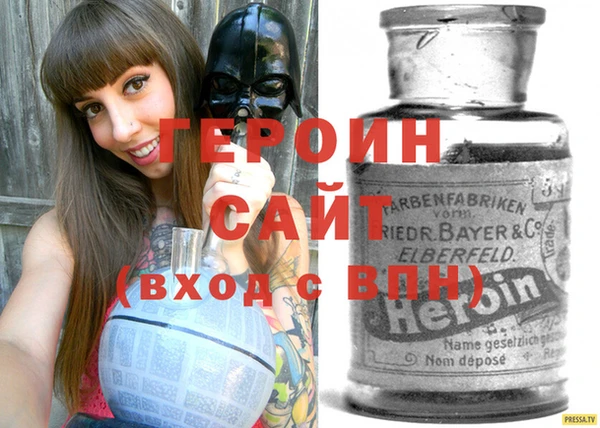 индика Бородино