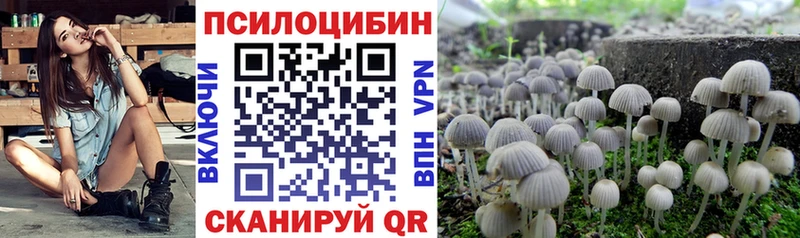 Псилоцибиновые грибы Psilocybine cubensis  наркошоп  Ростов 